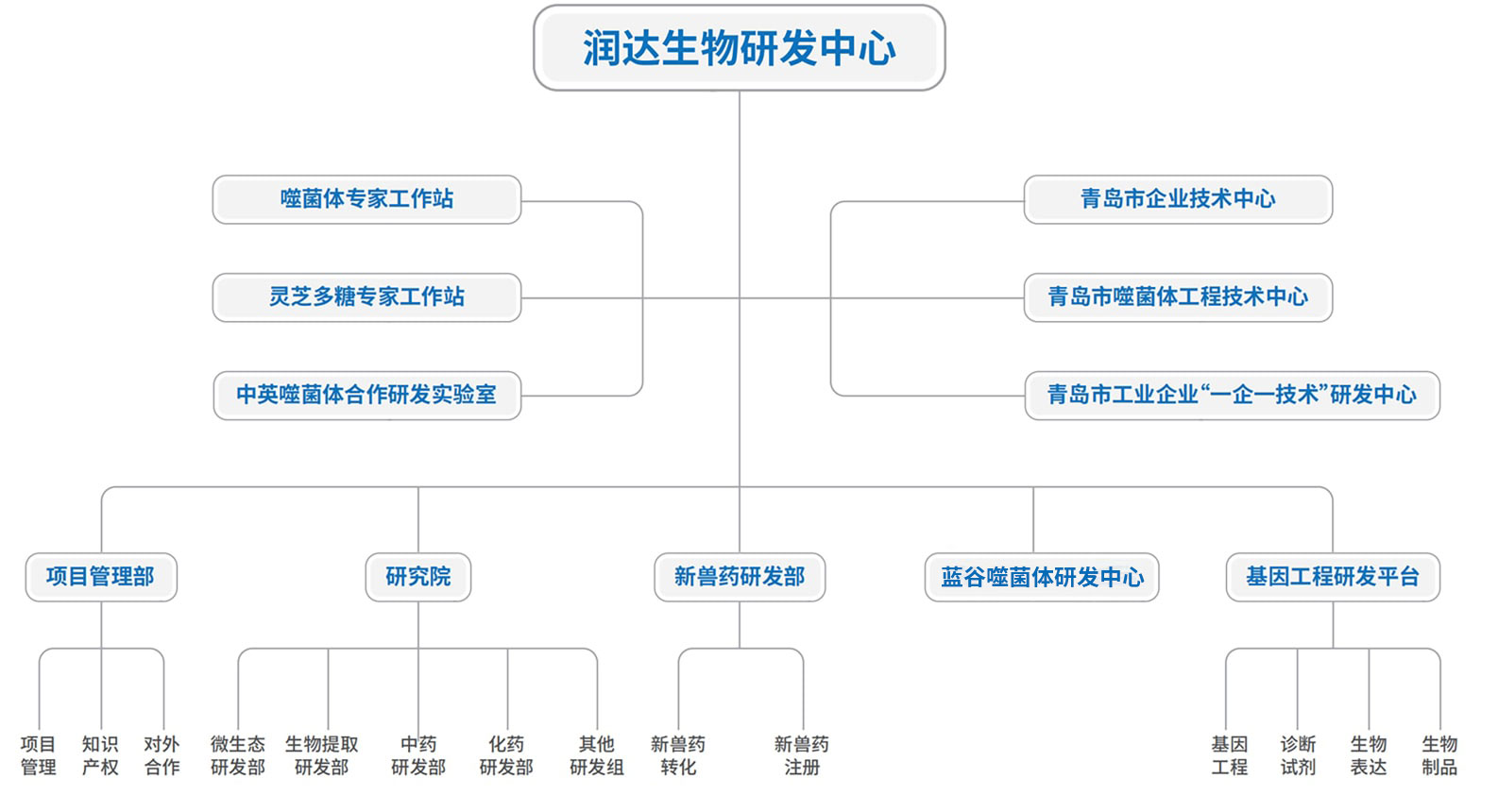 大奖国际·18dj18(中国)官方网站