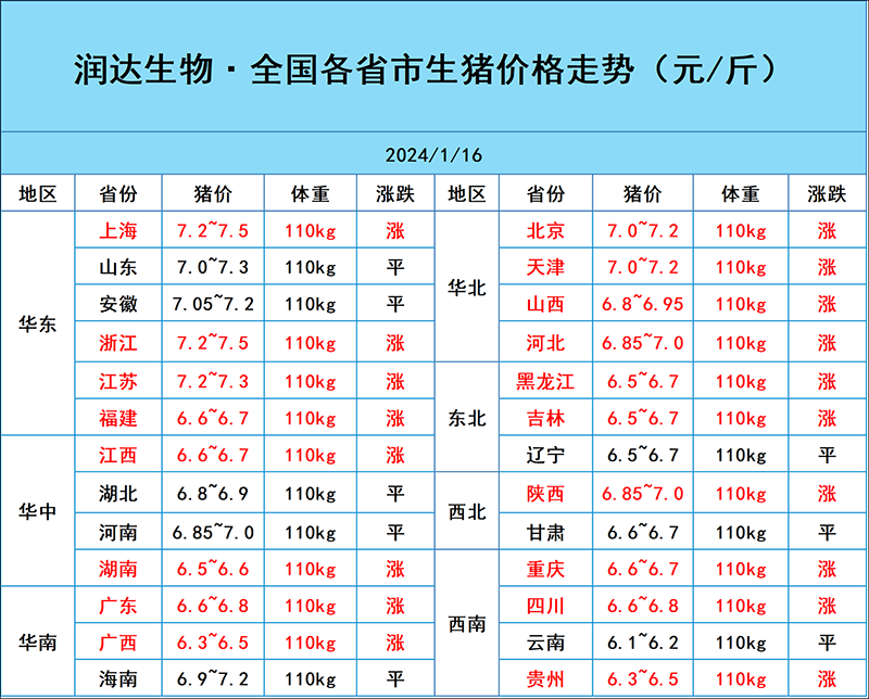 1月16日猪价行情