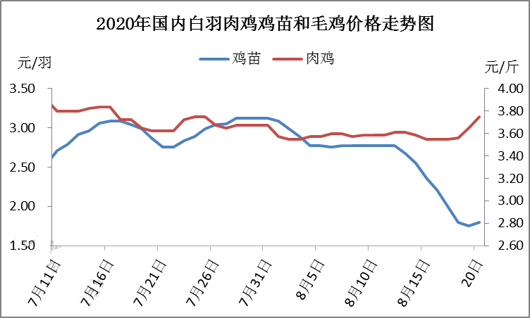 毛鸡和鸡苗价钱走势图