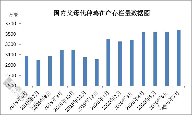 海内怙恃代种鸡存栏量数据图