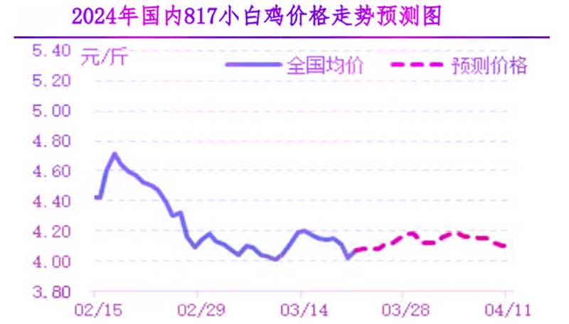 肉鸡市场下周行情展望