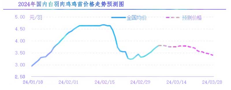 肉鸡市场下周行情展望