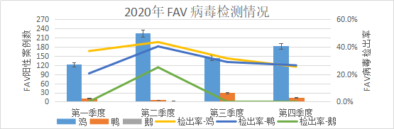 2020年 FAV 病毒一至四序检测情形图