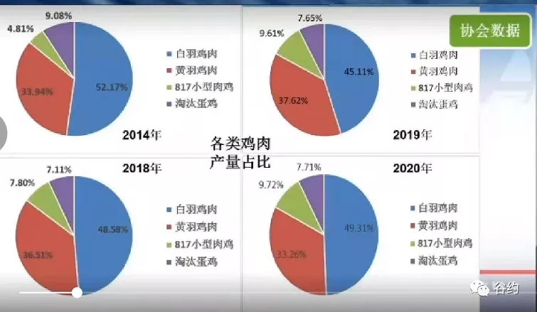 种种鸡肉占比