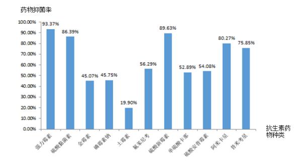 通俗抗生素药敏效果