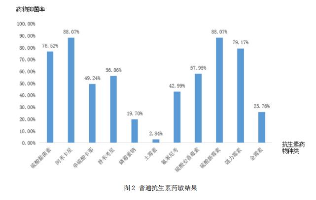 图2 通俗抗生素药敏效果