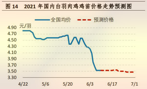 海内白羽肉鸡鸡苗价钱走势展望图