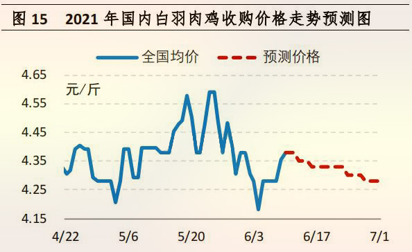 海内白羽肉鸡收购价钱走势展望图