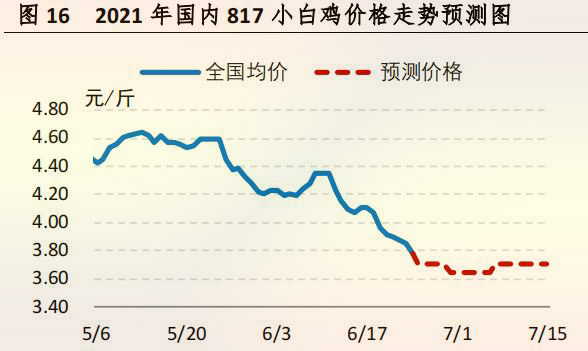 海内 817 小白鸡价钱走势展望图