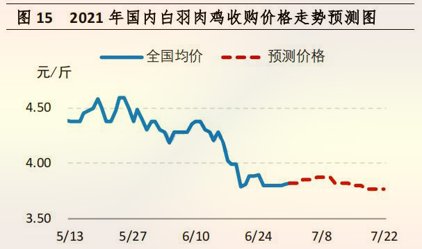 海内白羽肉鸡收购价钱走势展望图