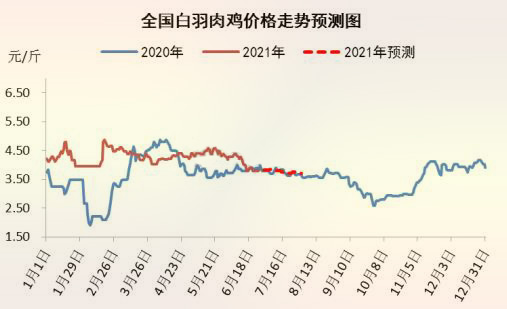 海内白羽肉鸡价钱走势展望图