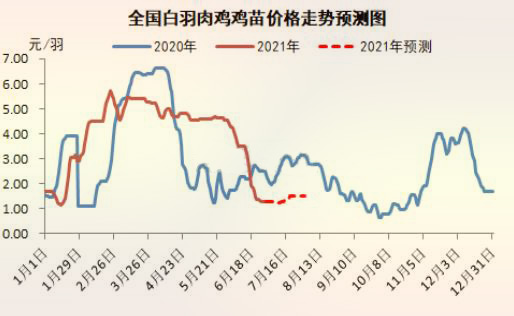 海内白羽肉鸡鸡苗价钱走势展望图