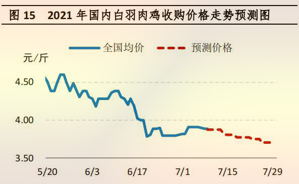 海内白羽肉鸡收购价钱走势展望图