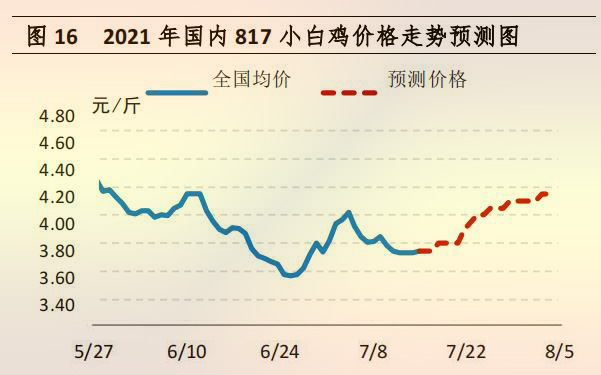 海内 817 小白鸡价钱走势展望图