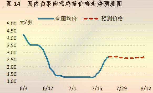 海内白羽肉鸡鸡苗价钱走势展望图