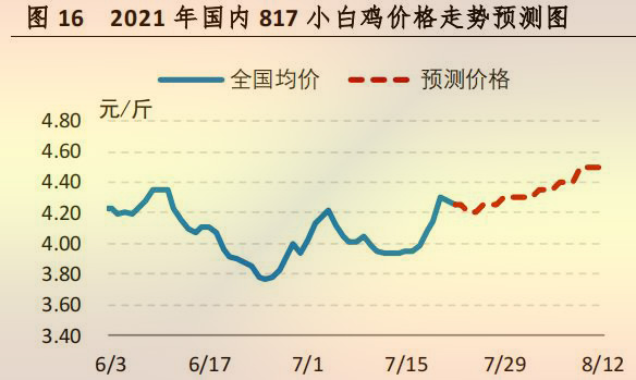 海内 817 小白鸡价钱走势展望图