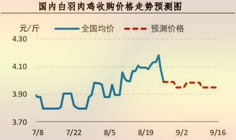 海内白羽肉鸡收购价钱走势展望图