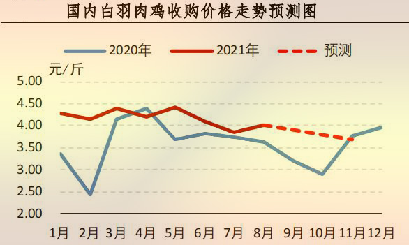 白羽肉鸡价钱行情