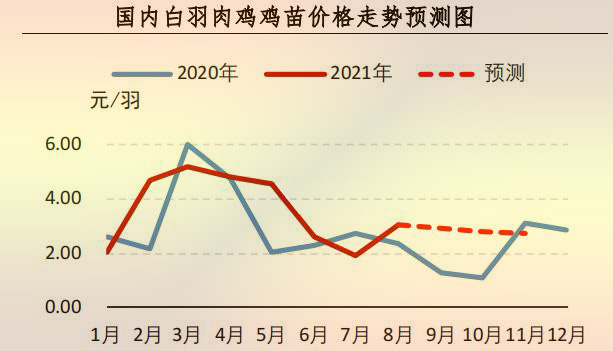 鸡苗价钱行情