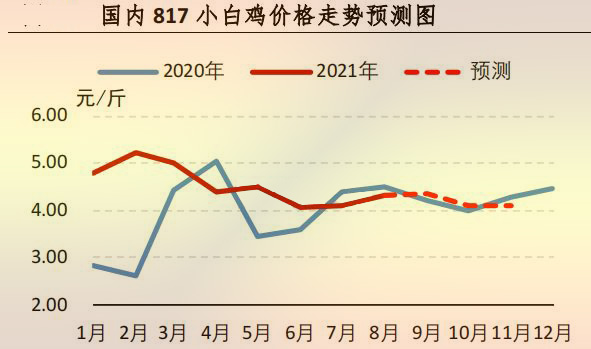 817小白鸡价钱走势