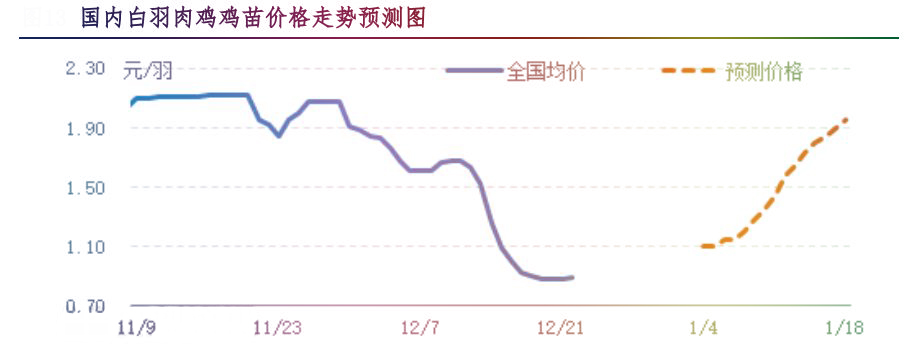 肉鸡市场行情汇总