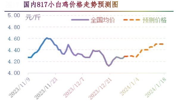 肉鸡市场行情汇总