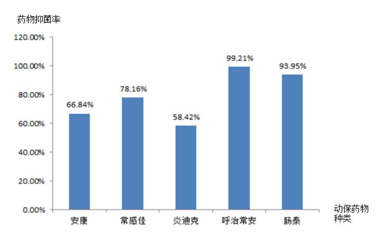 图3 动保药物药敏效果