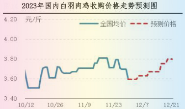 肉鸡市场行情汇总