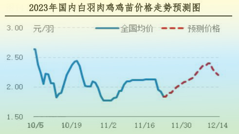 肉鸡市场行情汇总