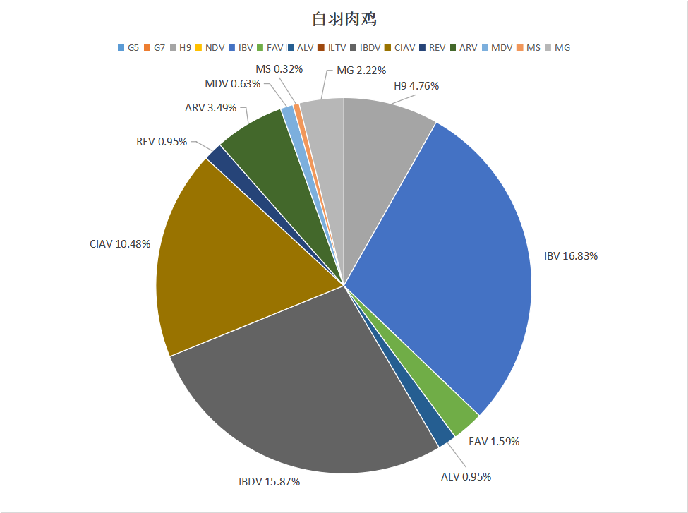 2023年10月白羽肉鸡疫病检测剖析报告