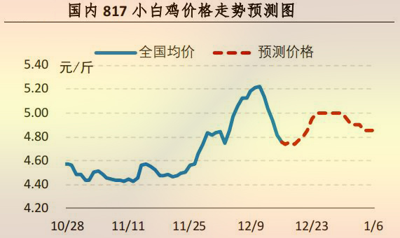 817小白鸡