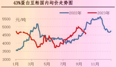 9月肉鸡市场行情剖析及10月行情展望