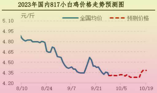 肉鸡市场行情汇总