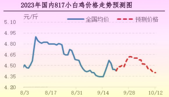 肉鸡市场行情汇总