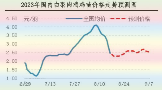 肉鸡市场行情汇总