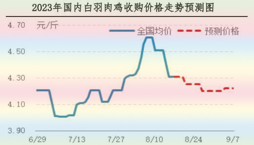 肉鸡市场行情汇总