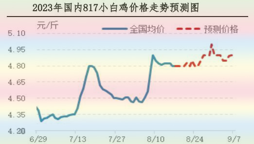 肉鸡市场行情汇总