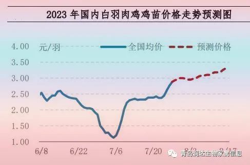 肉鸡市场行情汇总