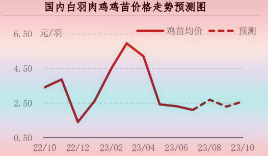 7月肉鸡市场行情剖析及8月行情展望