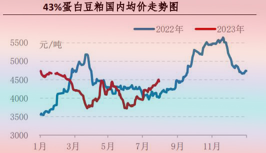 7月肉鸡市场行情剖析及8月行情展望