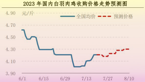 肉鸡市场行情汇总