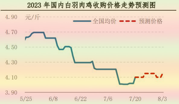 肉鸡市场行情汇总