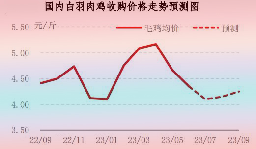 6月肉鸡市场行情剖析及后市行情展望