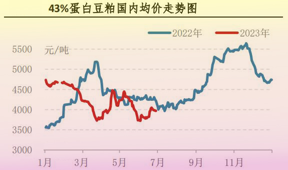 6月肉鸡市场行情剖析及后市行情展望