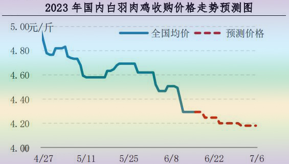 肉鸡市场行情汇总