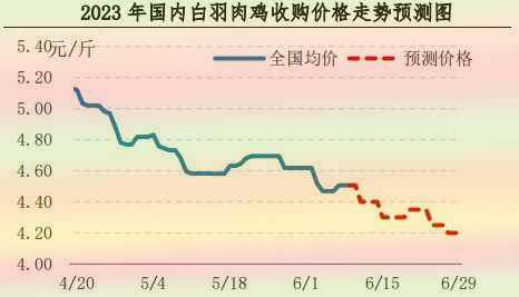 肉鸡市场行情汇总