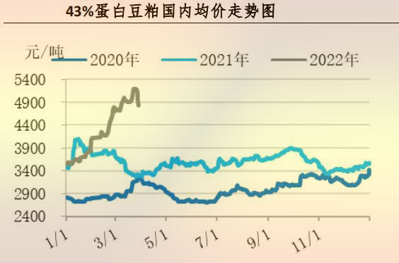 卵白豆粕均价