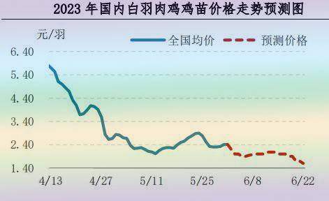 肉鸡市场行情汇总