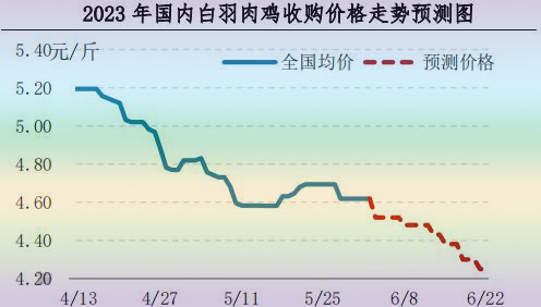 肉鸡市场行情汇总