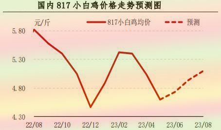 5月肉鸡市场行情剖析及6月展望